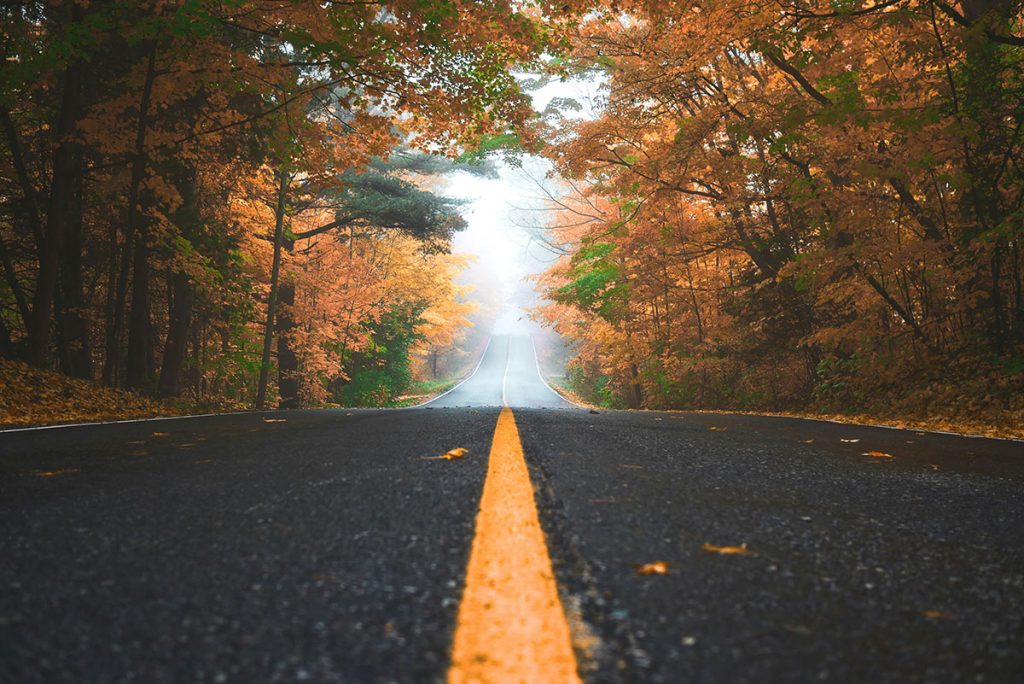Wills & estates: a road stretches off into a foggy horizon through autumn woods.